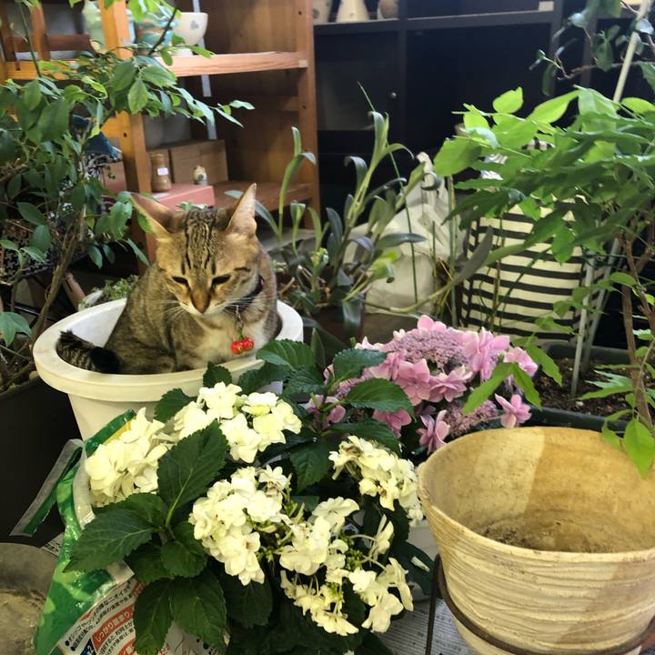 58e5365f 8e1c 4942 970a ddd2ca89d63a 1621399351345