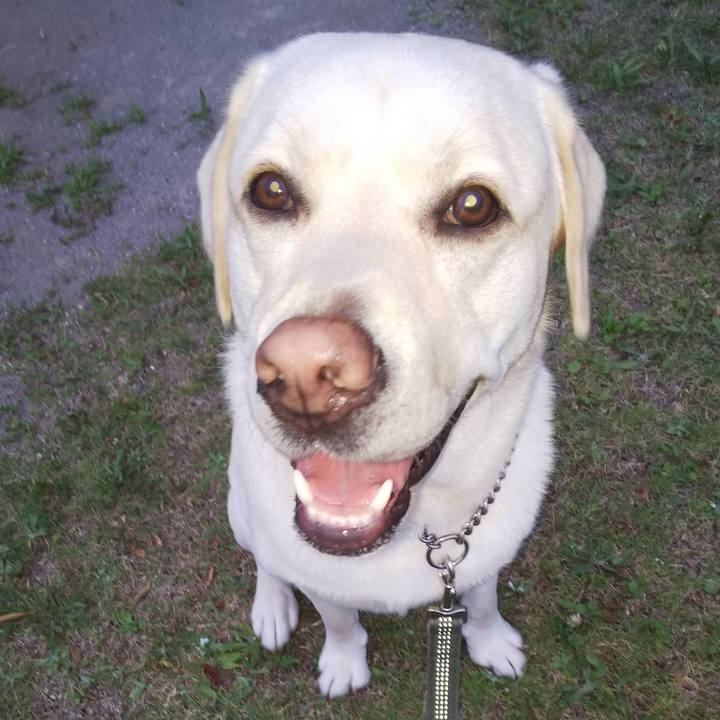 58e5457a 6fb1 49e6 ab22 70a28747cf46 1530786273238