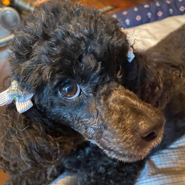 58e54ddd 654d 4f7c b801 7a135cc9b2b6 1628392494287