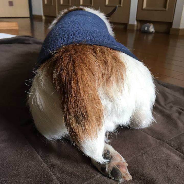 58e55e17 da0b 4af6 91e0 ce24db78be06 1647651050536