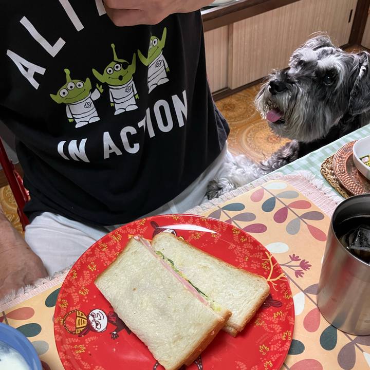 58e5888b 2676 4bd0 9470 8ddf52ba2332 1725779744520