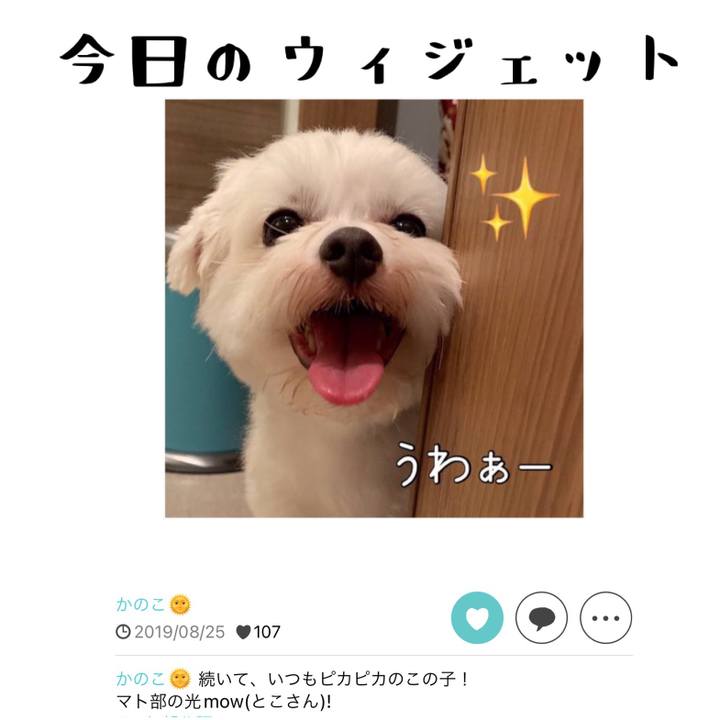 58e60870 3813 4d84 9a38 c4da1e0f0f15 1661480486964