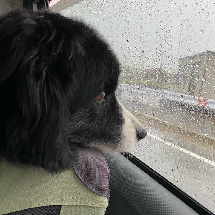 58e646dd 045c 4d02 af4d cd3f0cf4da7e 1681509623294