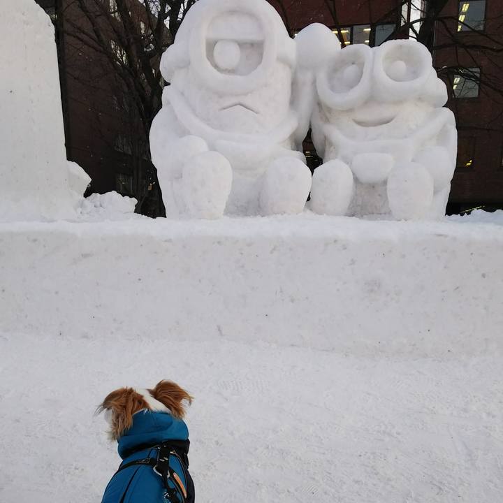 58e65f63 1008 4ba8 82a4 4b3094eea48c 1517557536652