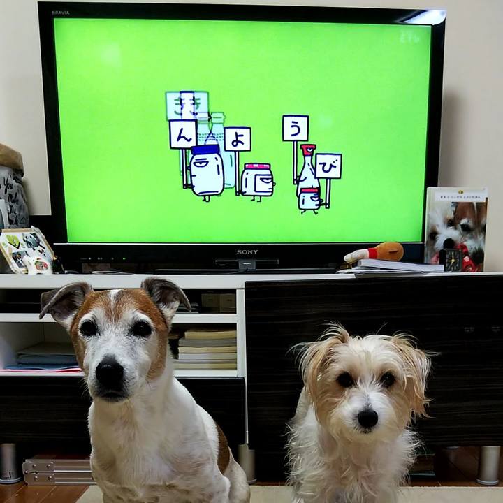 58e67a67 38e3 4077 9470 8cb6541c1cbc 1551392469038