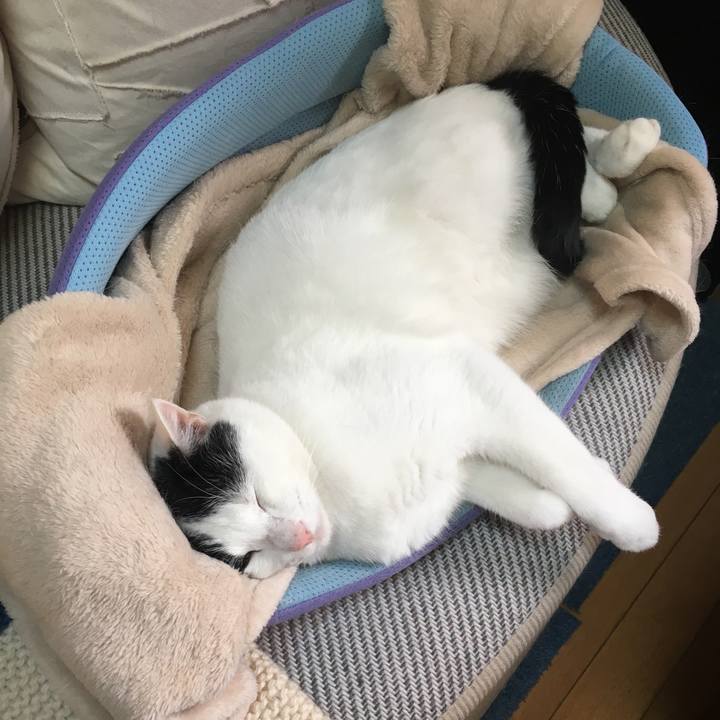 58e6adc2 82df 4f0e 861c ff002603639d 1530255832161