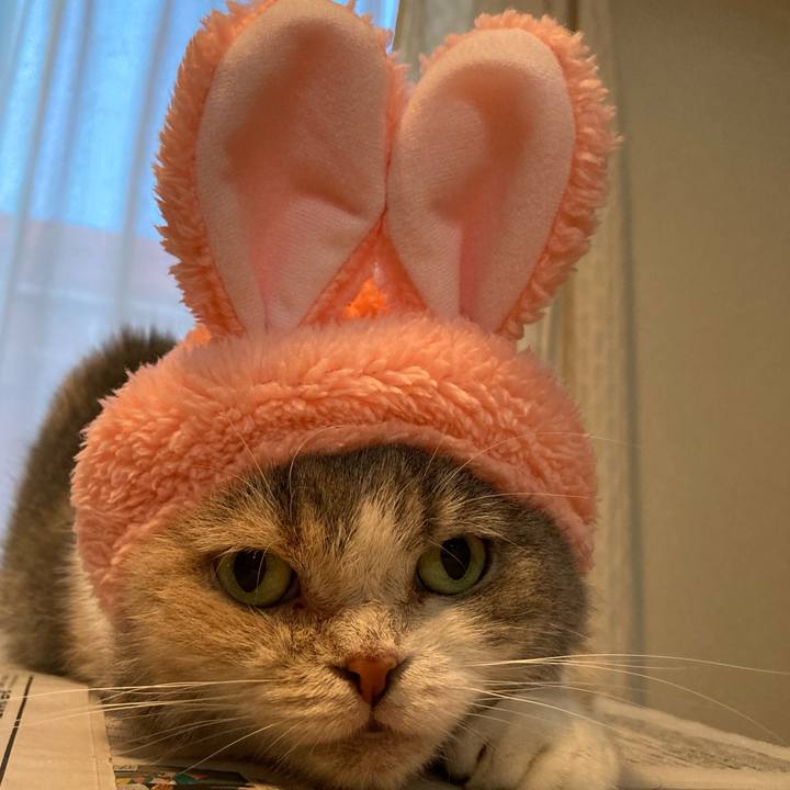 58e6b773 adad 4f80 9174 b46bb0ba3afa 1662799360601