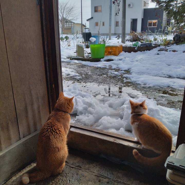 58e70cfd a878 4a97 b8f0 158951824ca2 1734069443032