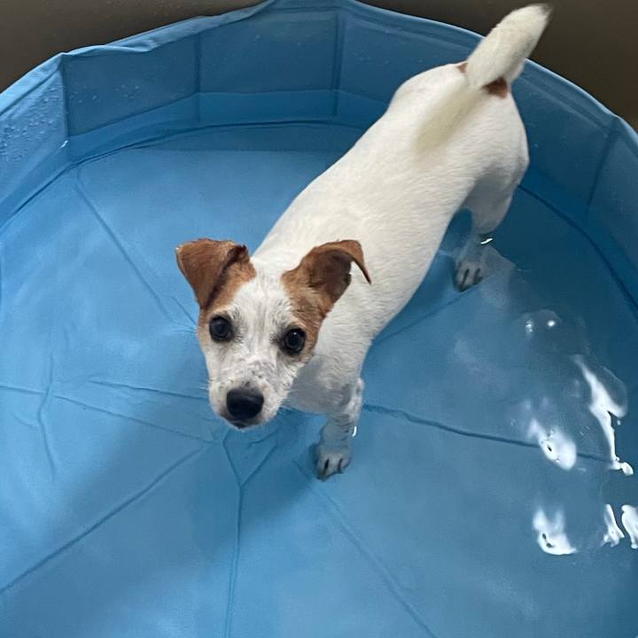 58e744c8 46aa 4f1d aaf9 1a9d560767d0 1628396562841