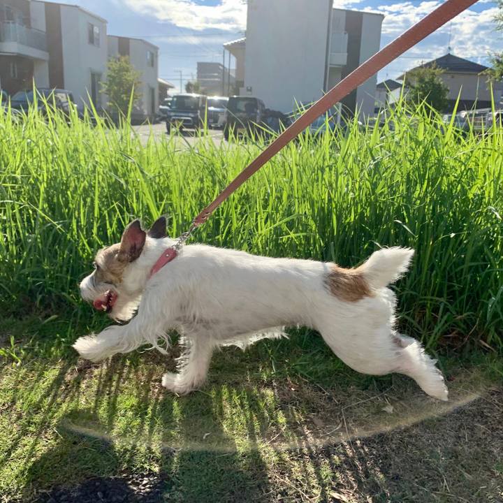 58e75d28 4dd0 425a 9158 746c1f423d60 1628551709398