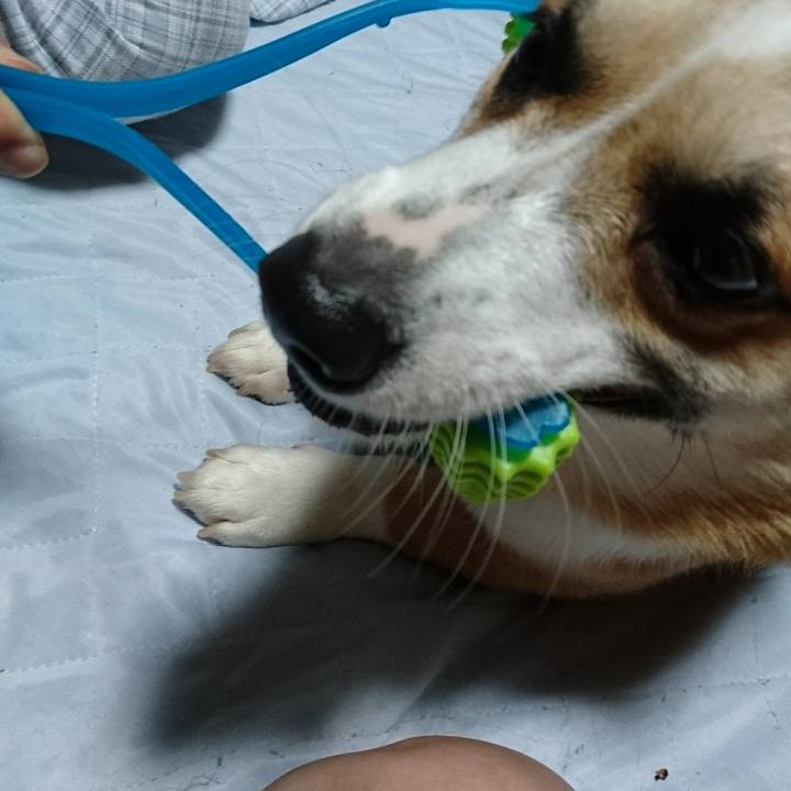 58e7b705 5413 4c06 8940 470b4a0e8089 1599875450360