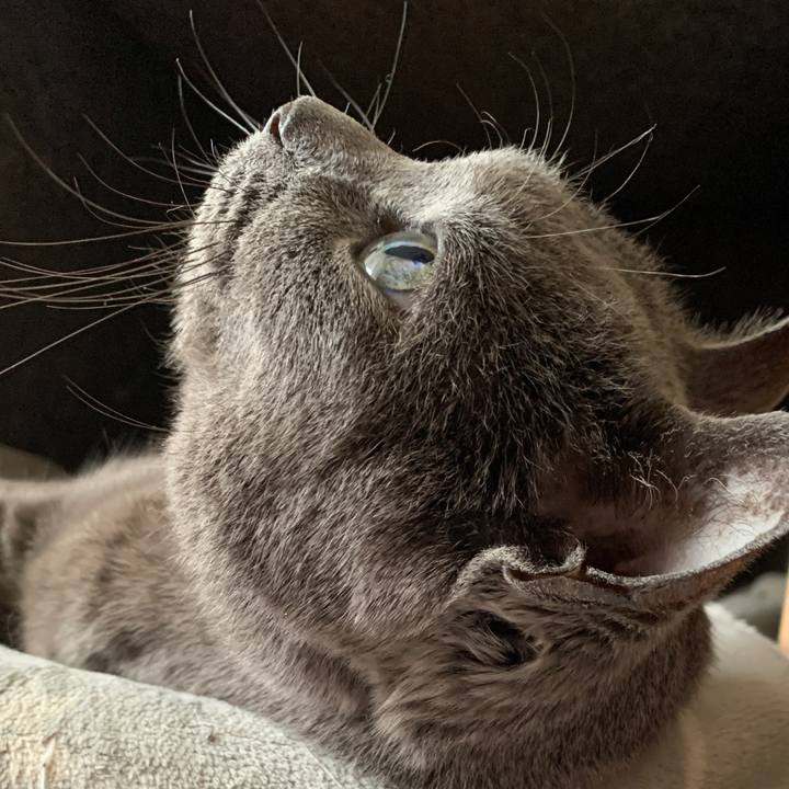 58e7be5f be8a 4873 b141 59246f7dcf6e 1623536966739