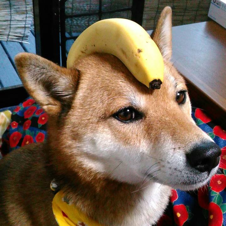 58e7bec6 191f 4596 8a25 9548847106b4 1512893318146