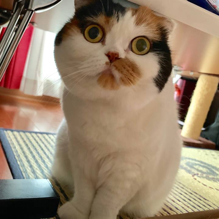 58e7e3fe 121d 4755 9654 ac7fd3881c84 1562629145873