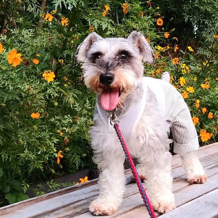 58e80a34 caca 409b 82c5 15e6c648c203 1568684450733