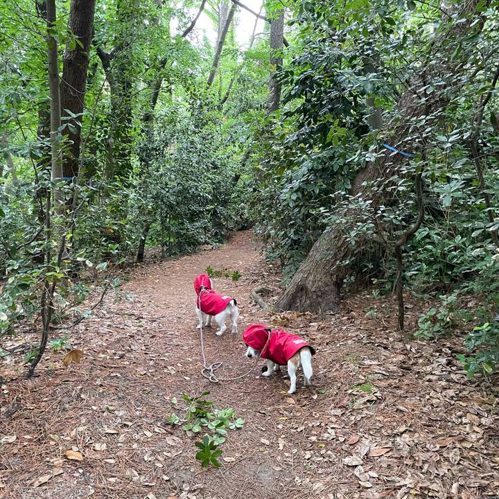 58e80a9f d6a0 4386 8794 6e592081e907 1684800196181