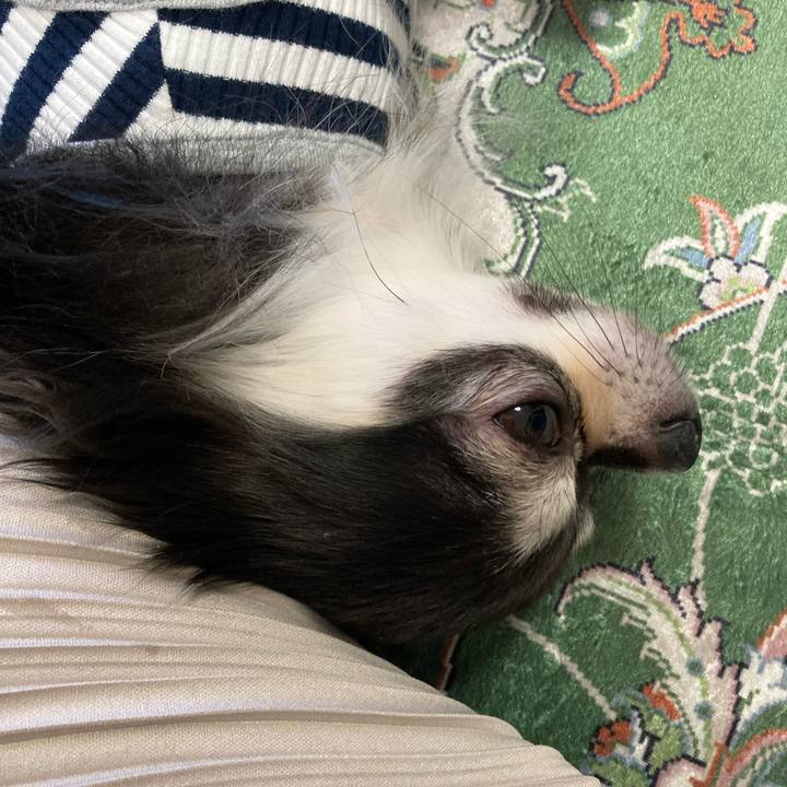 58e82411 68bc 488c 92bb 7cd32907487d 1667055169430