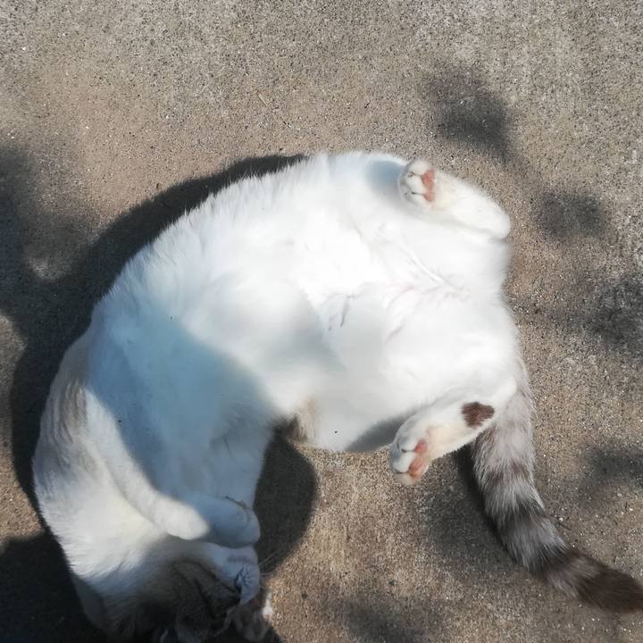 58e82e48 6de9 4e5b 9c9d c43686132b5f 1522392358763