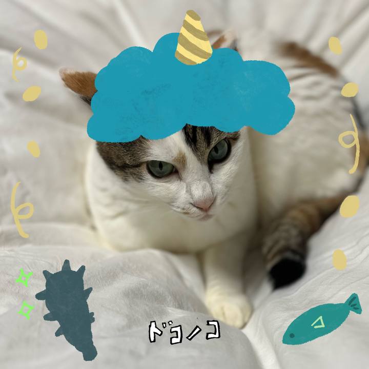 58e82f91 189d 4d2c ba7b 267b35a5a300 1707136820160