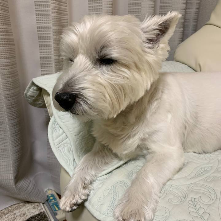 58e88b8a 8298 4442 9ad5 d7cdd92dc00f 1570966128309