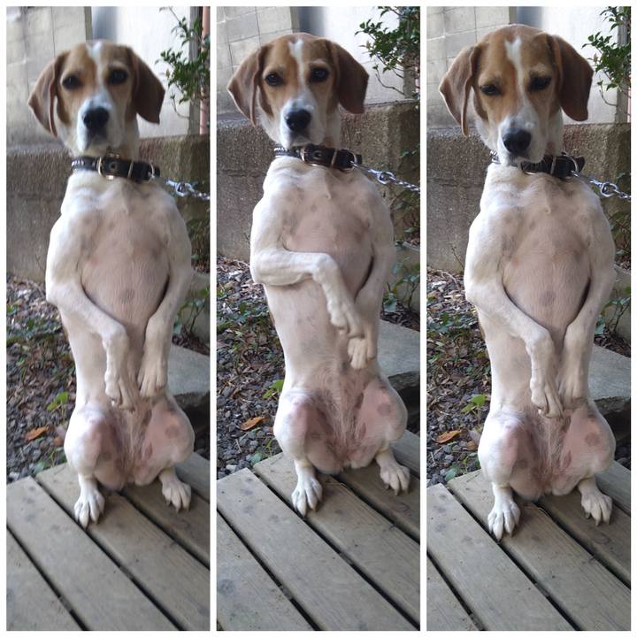 58e8ae54 e941 40ad b8d8 d3b585be2937 1631956176229