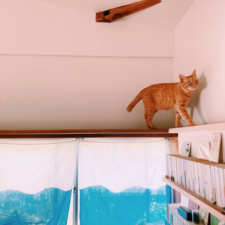 58e8b6ab 21a8 4637 9361 5ff8732125ac 1591362246957