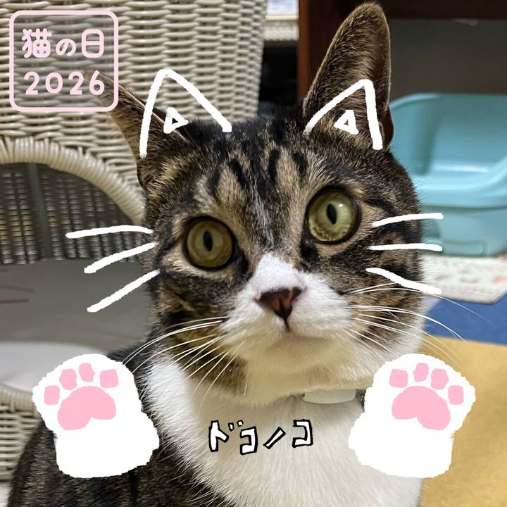 58e8ed0e ab17 4ea5 9688 8bced464e82d 1771722918942