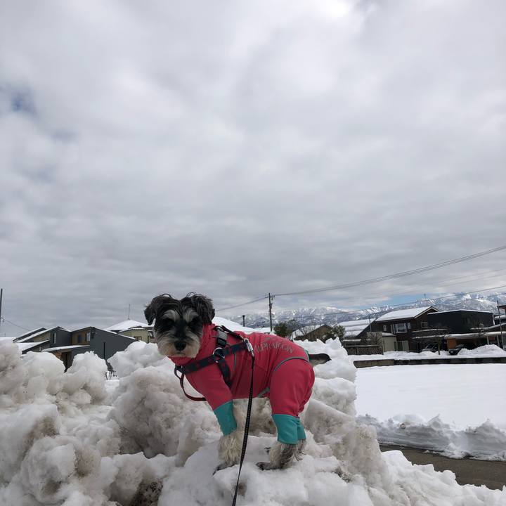 58e8f1b4 c75b 4fa4 8aa3 e0ec7cf98a1a 1642831915358