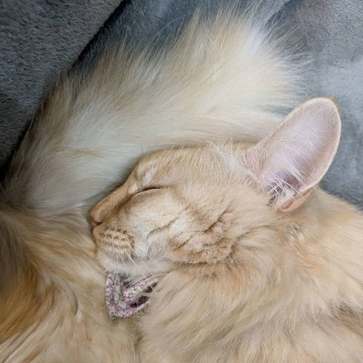 58e9098e 82d2 4e6e beed aed83b155ca0 1767543945894