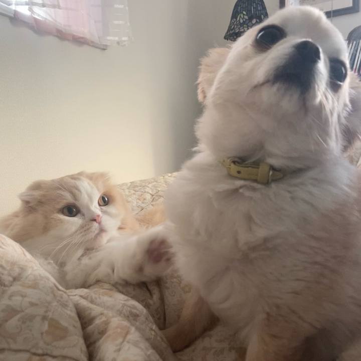 58e92b0a 7145 40d0 9ed9 e0b9dda1dd25 1646403658422