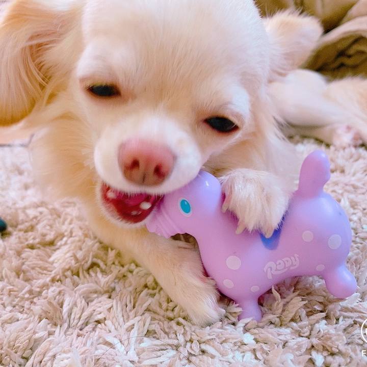 58e92d89 6228 4a71 b15f a6421130247f 1626417749166