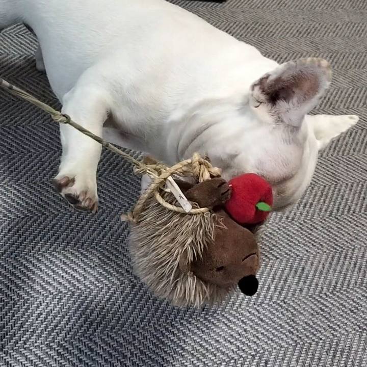 58e94dbb 29d6 4244 bc2d af3593051e6b 1684054184467