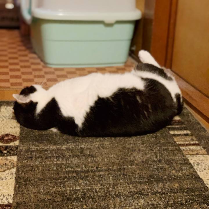 58e96f3f 8f92 45d4 ab85 9de10b392cbe 1554000174609