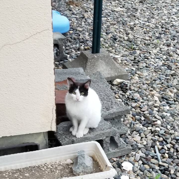 58e98569 eb4c 415b a9d9 f8ed62c351fe 1561119507857