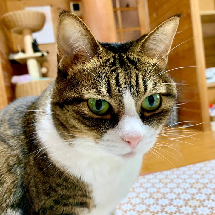 58e9a6df df57 4f67 a2c5 193a536ff4d5 1602900013531