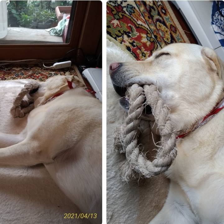 58e9b75c cc1c 4d21 947b 4b6848bd209b 1618290708771