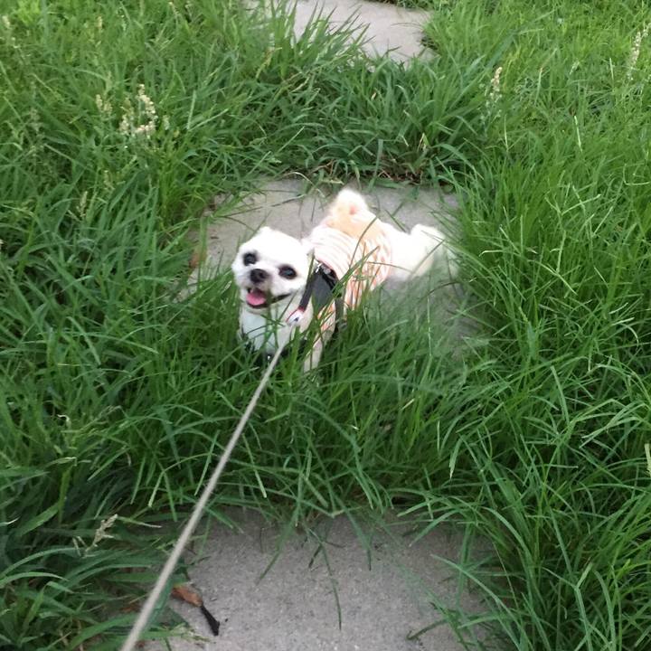 58e9c971 a3a7 4de0 8a15 a55de282e428 1564921657964