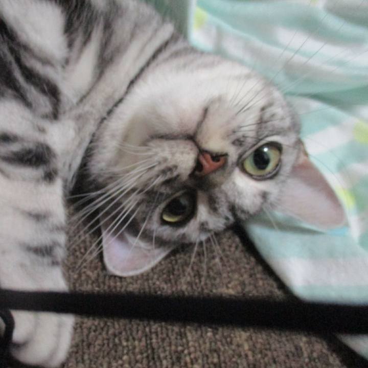 58e9e626 5d20 40f6 8192 8cf0facb51fd 1563585134879