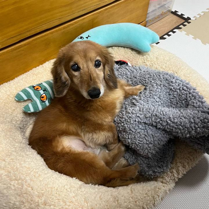 58e9fb2d fb44 4999 81c0 18f0b0b1333e 1642593021331