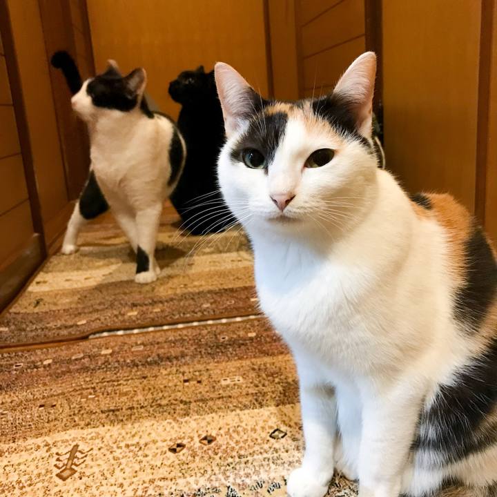 58ea132f d86c 4ce5 aca8 0931e2cbdbd1 1512348092942