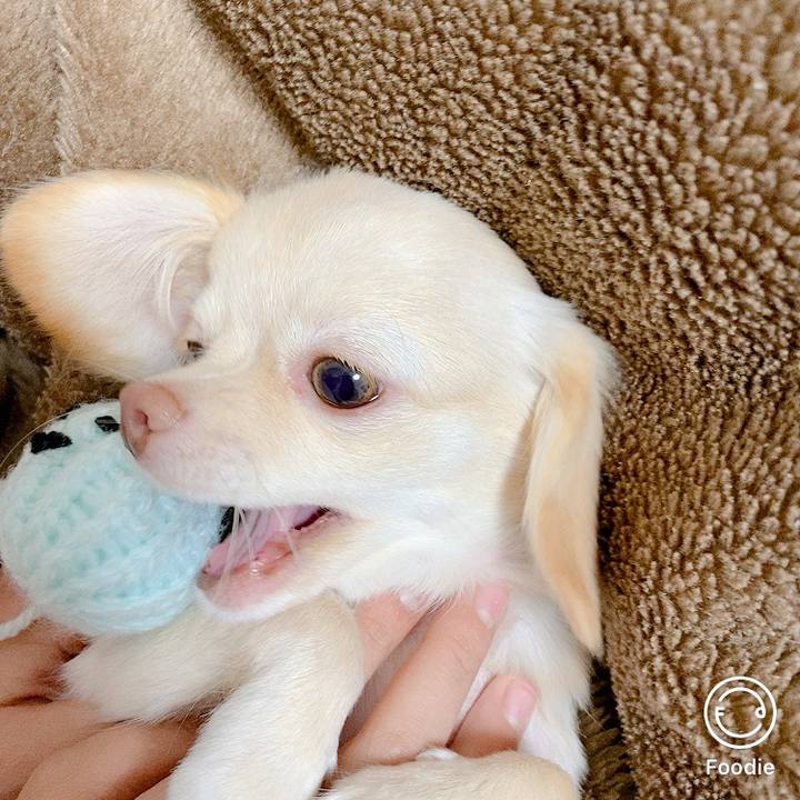 58ea166a 890b 4133 b038 bbf2fb349e77 1603156965757