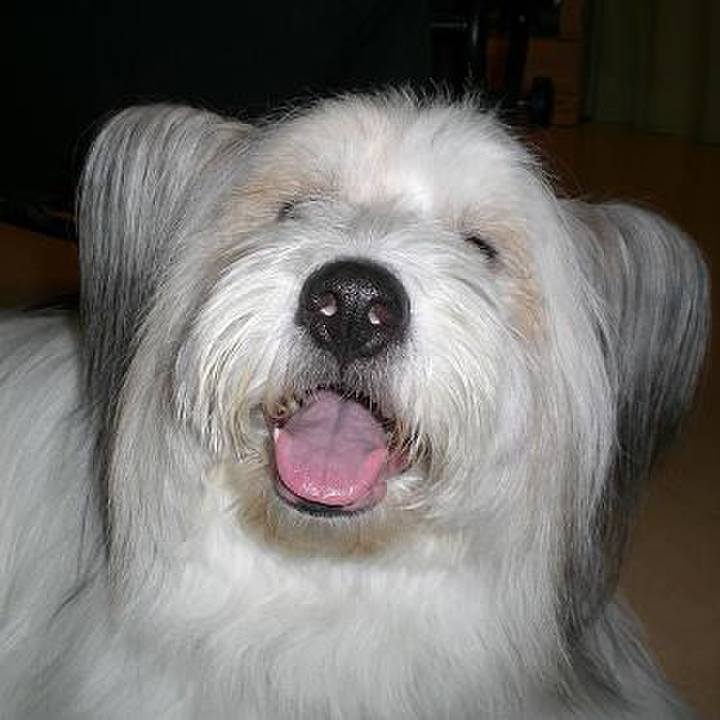 58ea2596 2d91 4c0d 9359 34e7db3030e4 1543540532359