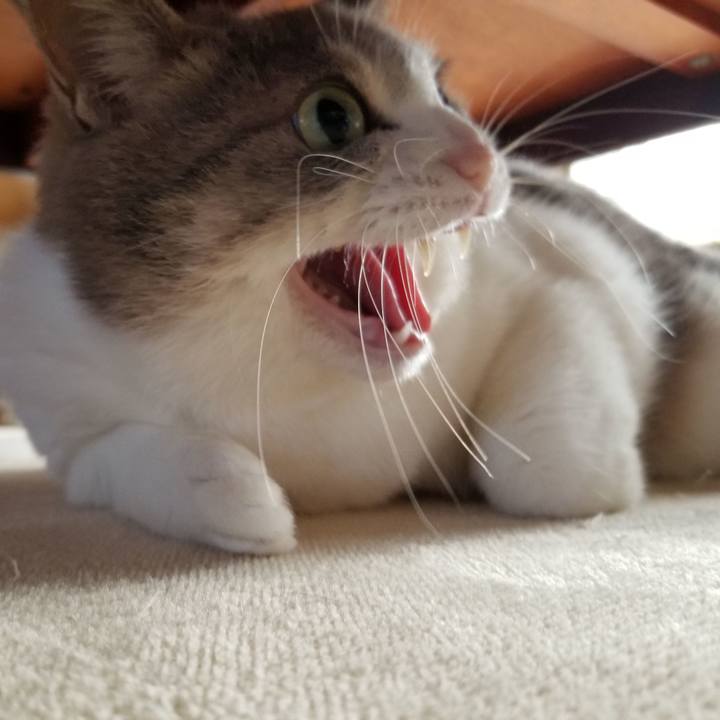 58ea28e7 ca3b 4574 8f3b c26c78b71dae 1670310992274