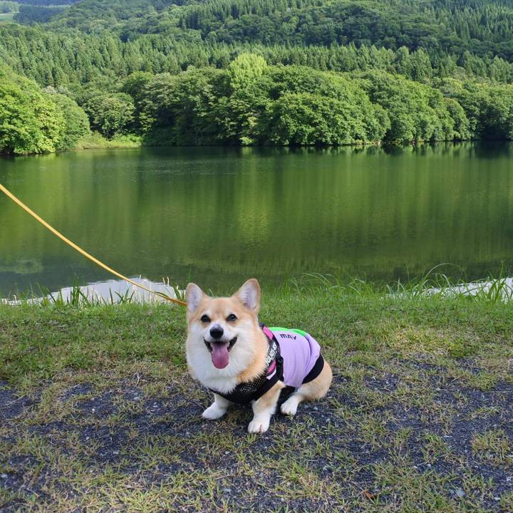 58ea49ce 3f05 46f7 9199 69e687c3d385 1659968326444