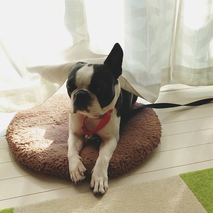 58ead119 ecf0 4c52 8954 5ccfe00b6fc3 1519024269238