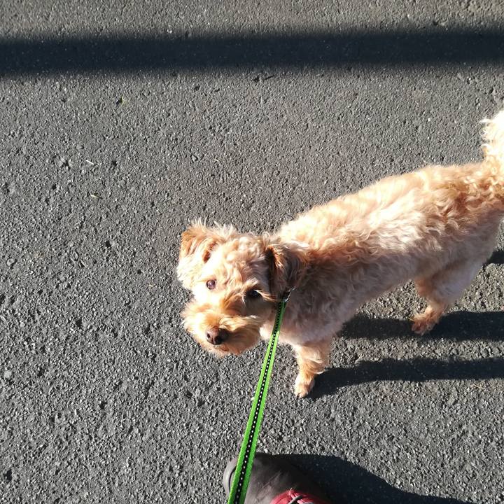 58ead7b0 87f1 44d7 83a3 659764892437 1562018579699