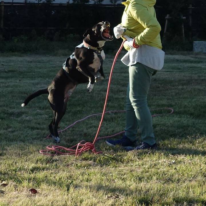 58eb0f9f 1b19 4bf0 aa59 32d7b31f6bbd 1732322845210