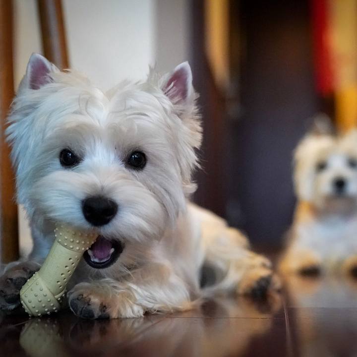 58eb1b8e 9e5e 42e1 acd9 6a4a9a2bbc8a 1528717721867