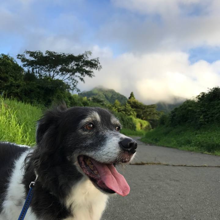 58eb76c7 8522 4df5 ac4d f422413cd26c 1534168233790