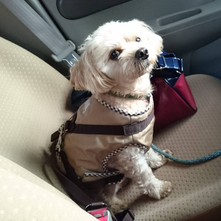 58eb9236 935d 4560 9b39 f429048dbd4b 1571125321482